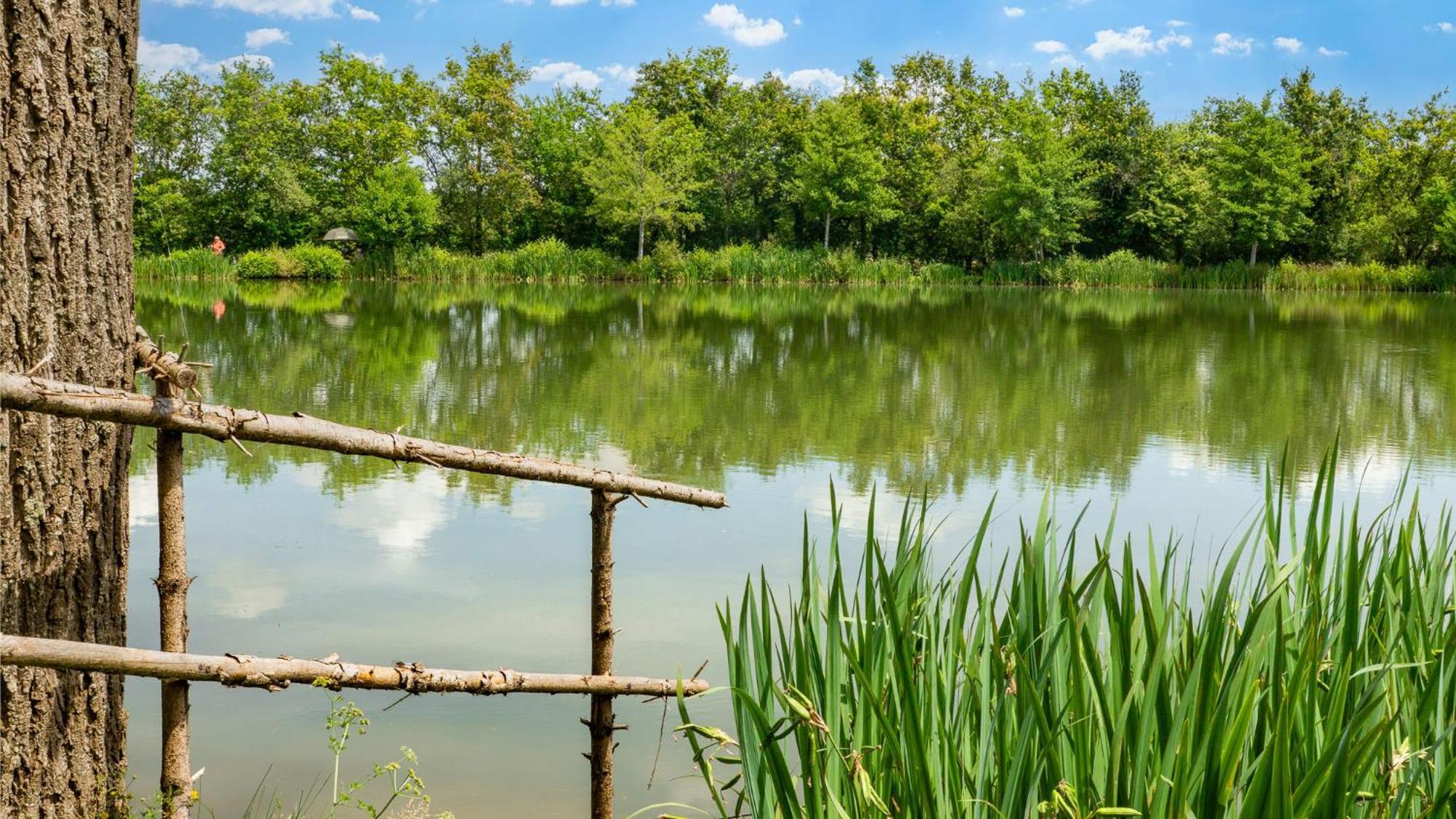 Camping Aubigny-Les Clouzeaux Aubigny  Exterior foto